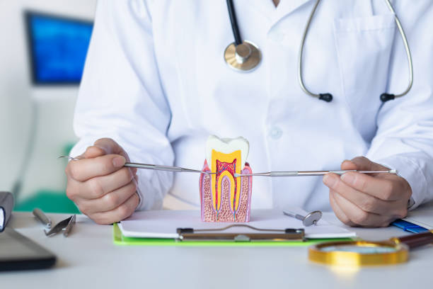 Best Dental Abscess Treatment in Hilltop, MN